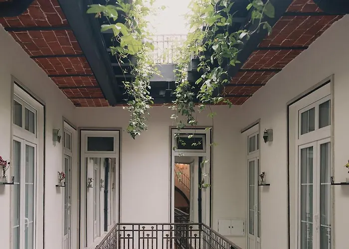 Hotel Maximo Roma Mexico City