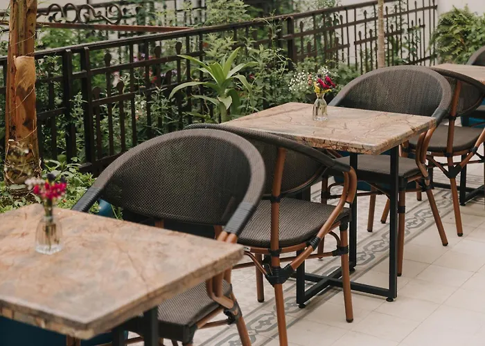 Hotel Maximo Roma Mexico City