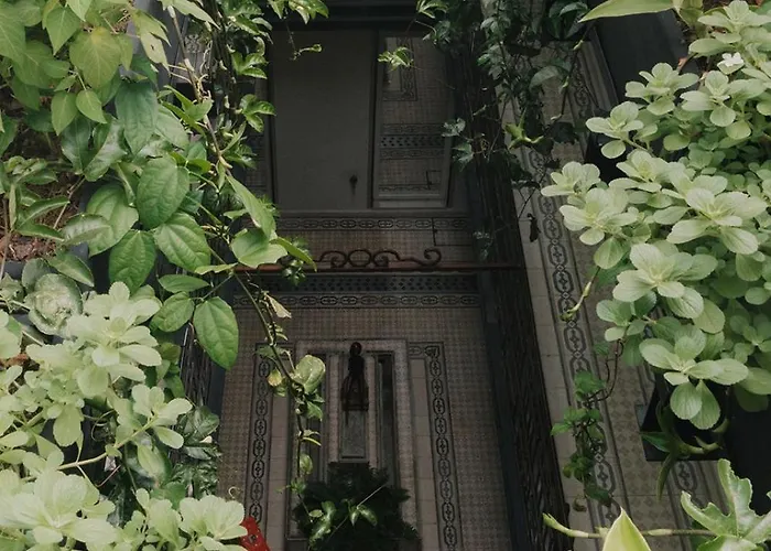 Maximo Roma Hotel Mexico City