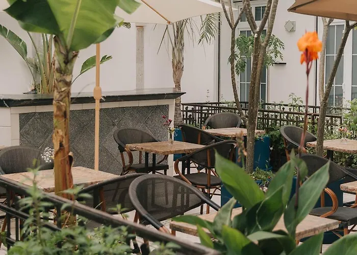 Maximo Roma 4* Mexico City